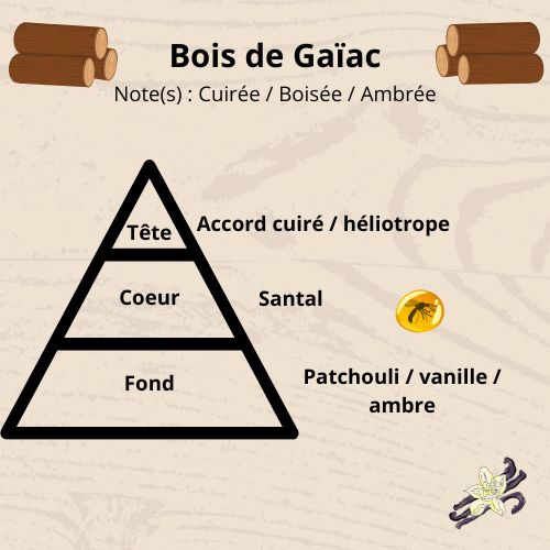 Bougie - Bois de gaïac