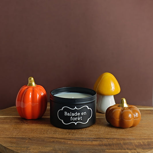 Bougie - Balade en forêt