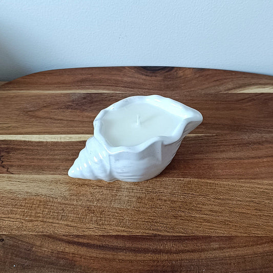 Bougie coquillage en jesmonite - Disponible en 11 parfums