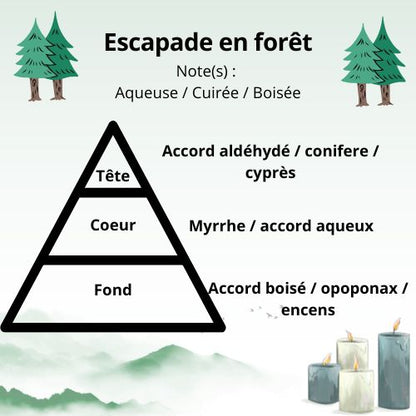 Bougie - Balade en forêt