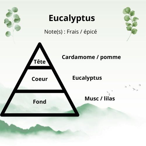 Bougie - Eucalyptus
