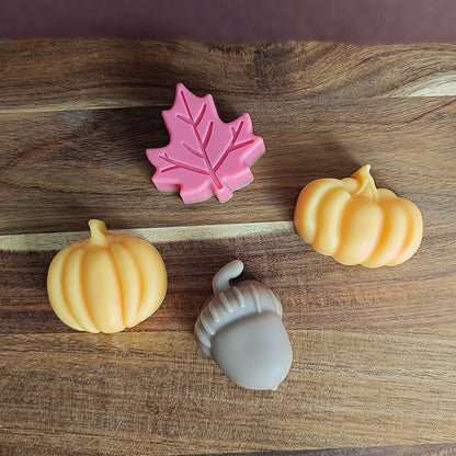 Fondant aléatoire 25gr (Édition Parfums d'Automne)