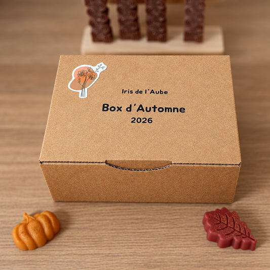 🍂 Box d’Automne 2026 — Édition Limitée