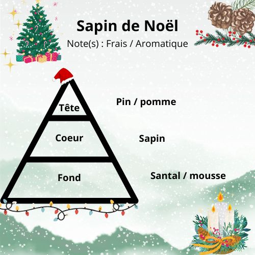 Pyramide olfactive Sapin de Noël